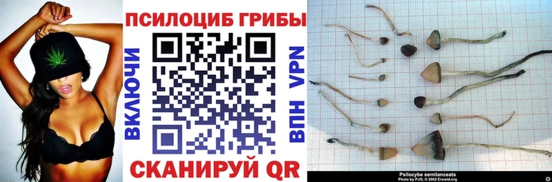Псилоцибиновые грибы мицелий наркота Починок